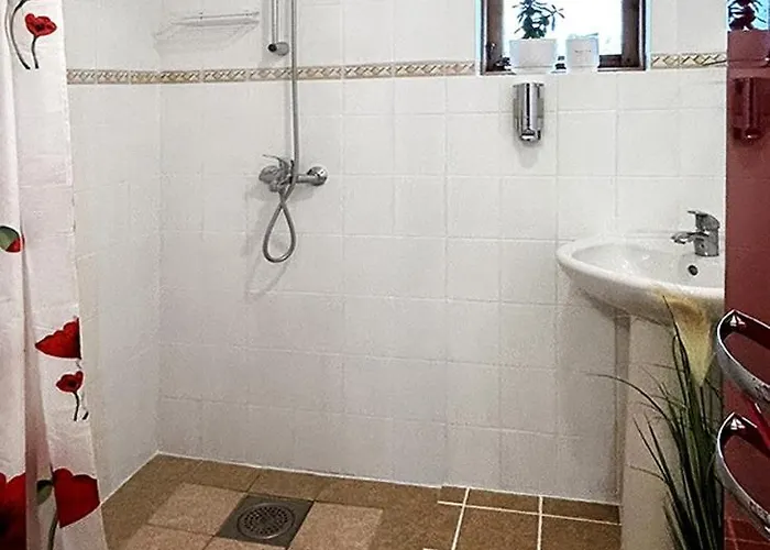 Aili Homestay szállás *